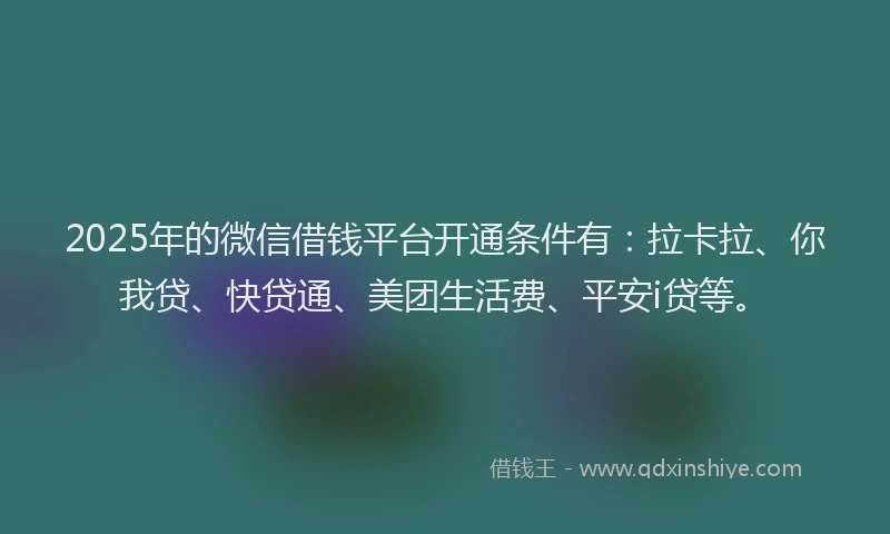2025年的微信借钱平台开通条件有：拉卡拉、你我贷、快贷通、美团生活费、平安i贷等。