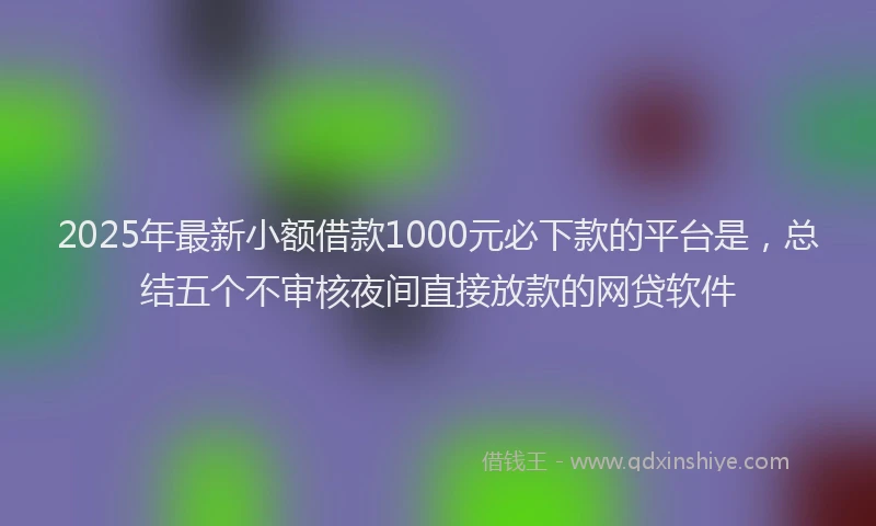 2025年最新小额借款1000元必下款的平台是，总结五个不审核夜间直接放款的网贷软件