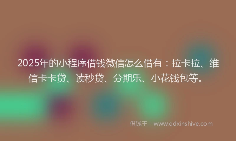 2025年的小程序借钱微信怎么借有：拉卡拉、维信卡卡贷、读秒贷、分期乐、小花钱包等。