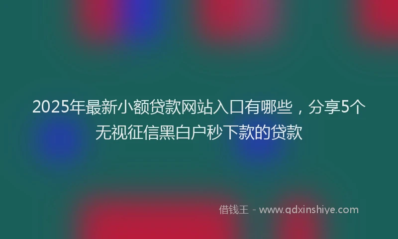 2025年最新小额贷款网站入口有哪些，分享5个无视征信黑白户秒下款的贷款