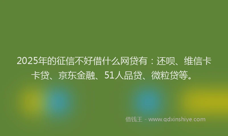 2025年的征信不好借什么网贷有：还呗、维信卡卡贷、京东金融、51人品贷、微粒贷等。