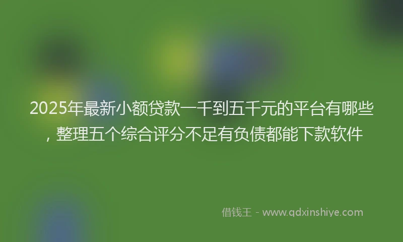 2025年最新小额贷款一千到五千元的平台有哪些，整理五个综合评分不足有负债都能下款软件