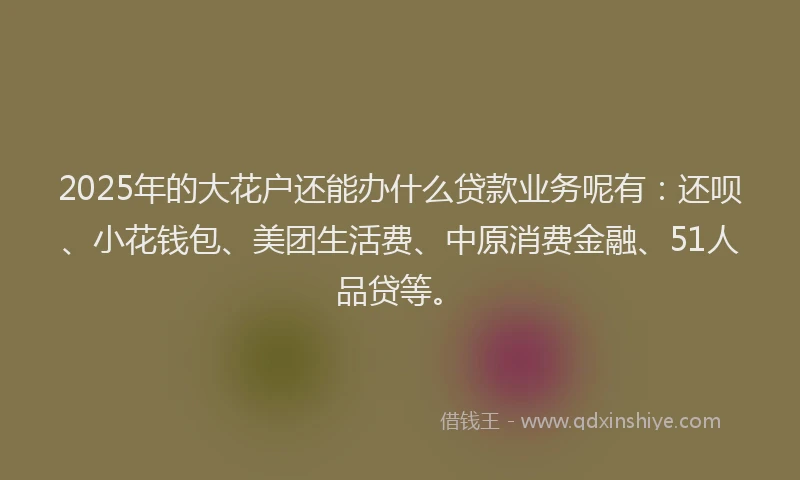 2025年的大花户还能办什么贷款业务呢有：还呗、小花钱包、美团生活费、中原消费金融、51人品贷等。