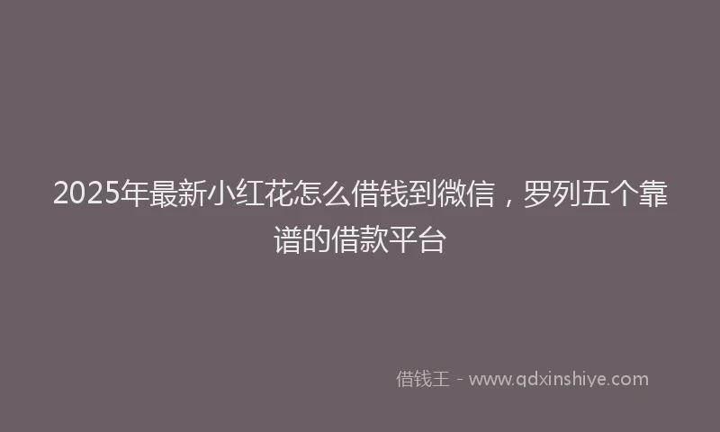 2025年最新小红花怎么借钱到微信，罗列五个靠谱的借款平台