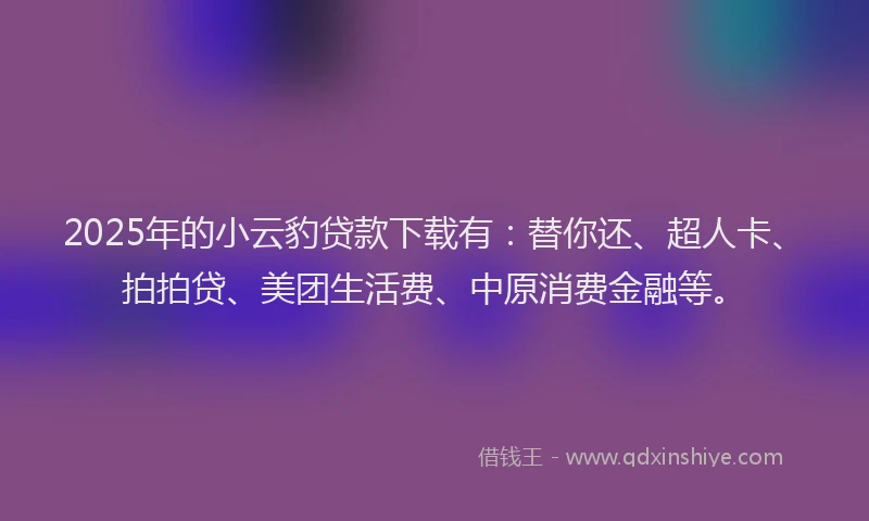 2025年的小云豹贷款下载有：替你还、超人卡、拍拍贷、美团生活费、中原消费金融等。