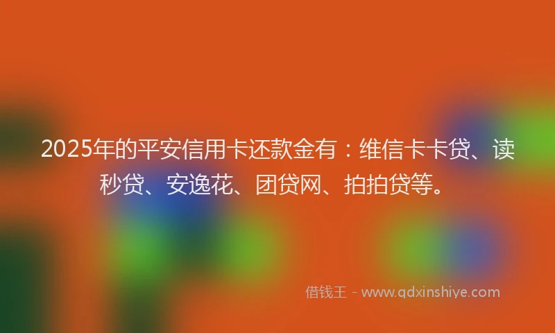 2025年的平安信用卡还款金有：维信卡卡贷、读秒贷、安逸花、团贷网、拍拍贷等。