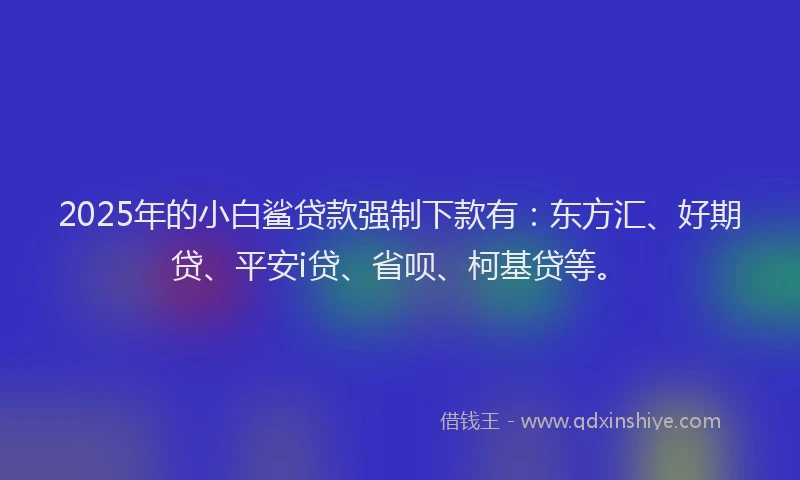 2025年的小白鲨贷款强制下款有：东方汇、好期贷、平安i贷、省呗、柯基贷等。