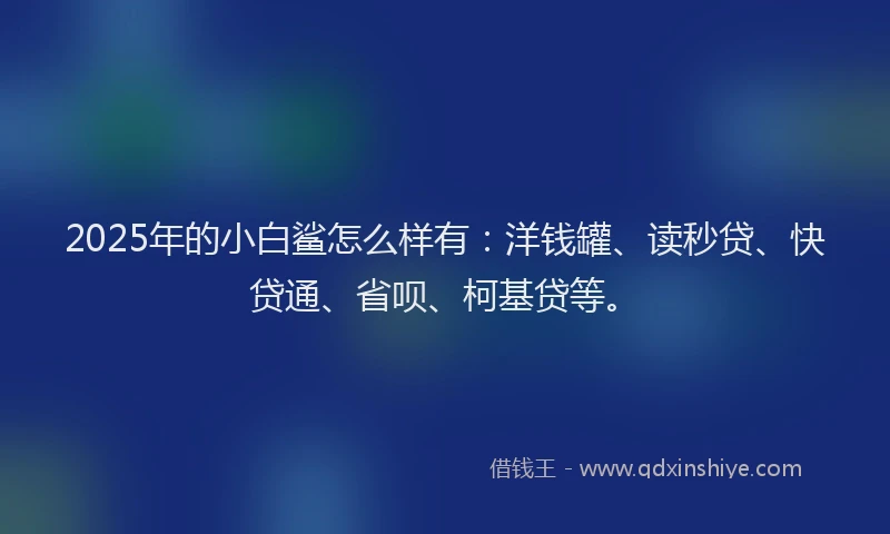 2025年的小白鲨怎么样有：洋钱罐、读秒贷、快贷通、省呗、柯基贷等。