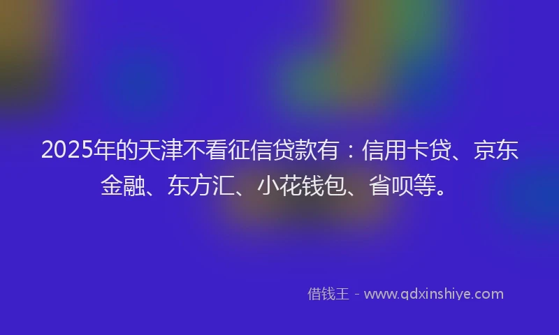 2025年的天津不看征信贷款有：信用卡贷、京东金融、东方汇、小花钱包、省呗等。