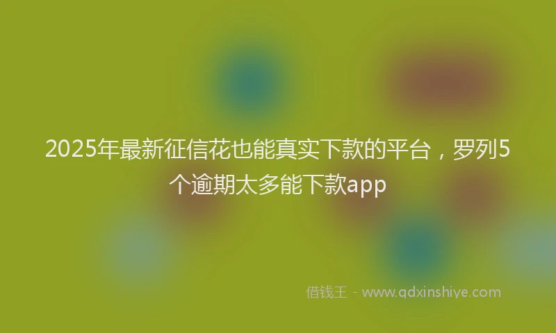 2025年最新征信花也能真实下款的平台，罗列5个逾期太多能下款app
