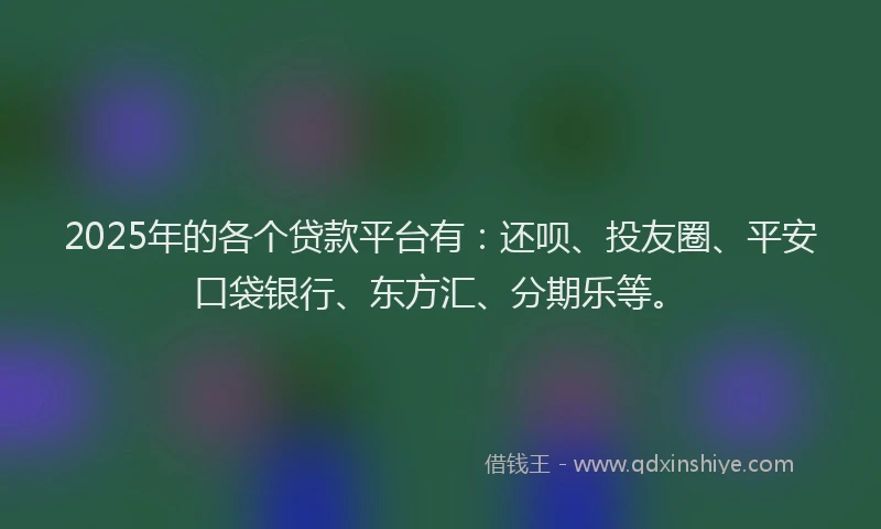 2025年的各个贷款平台有：还呗、投友圈、平安口袋银行、东方汇、分期乐等。