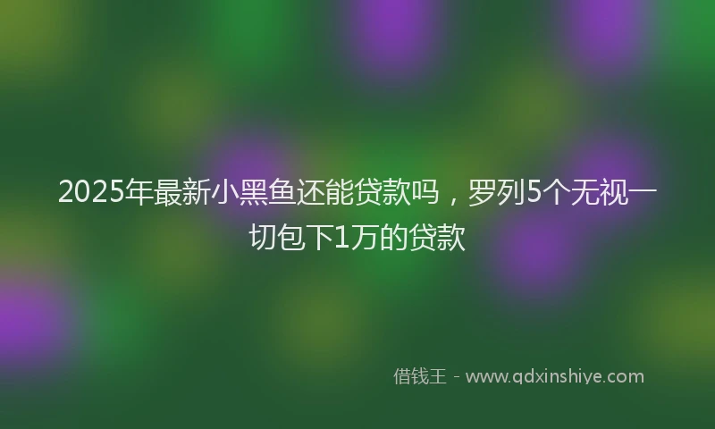 2025年最新小黑鱼还能贷款吗，罗列5个无视一切包下1万的贷款