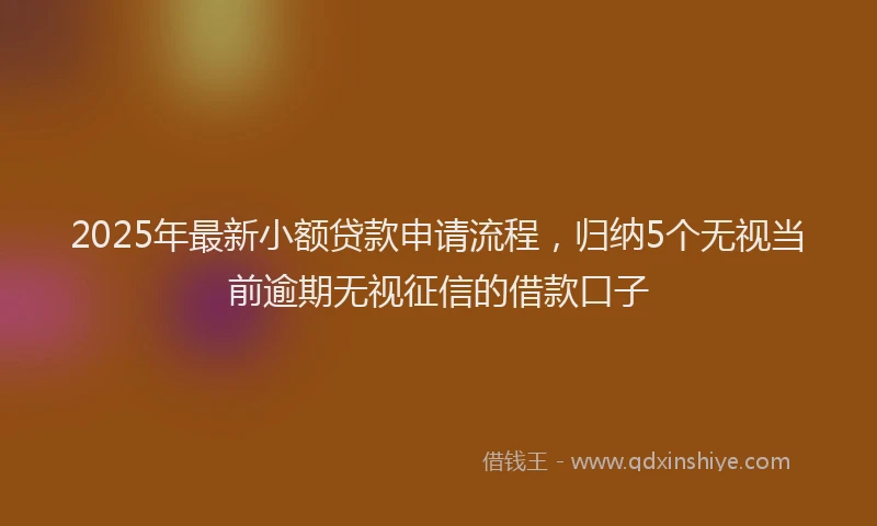 2025年最新小额贷款申请流程，归纳5个无视当前逾期无视征信的借款口子