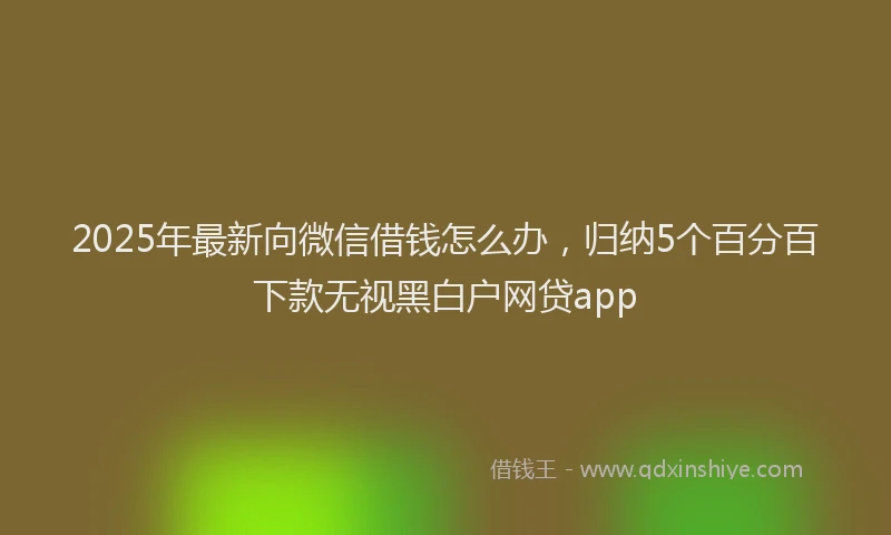 2025年最新向微信借钱怎么办，归纳5个百分百下款无视黑白户网贷app