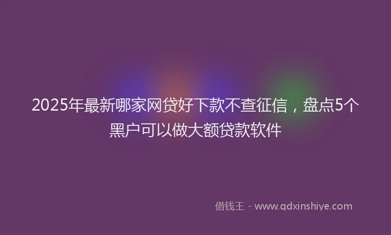 2025年最新哪家网贷好下款不查征信，盘点5个黑户可以做大额贷款软件