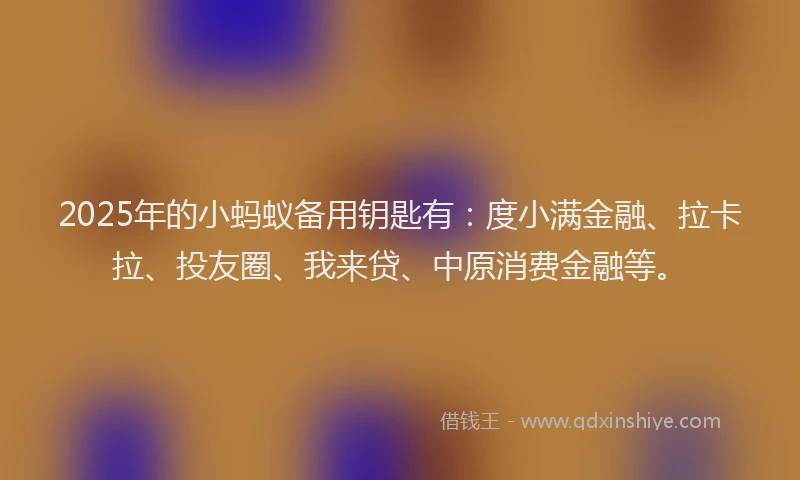 2025年的小蚂蚁备用钥匙有：度小满金融、拉卡拉、投友圈、我来贷、中原消费金融等。