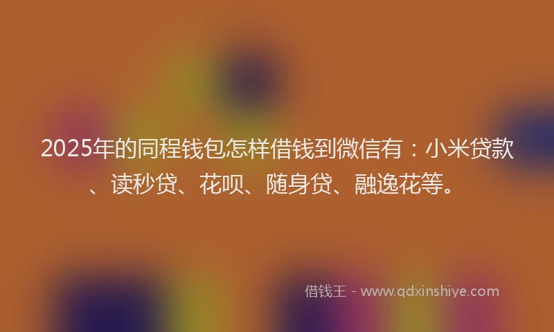 2025年的同程钱包怎样借钱到微信有：小米贷款、读秒贷、花呗、随身贷、融逸花等。