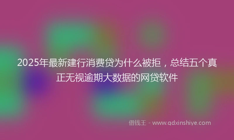 2025年最新建行消费贷为什么被拒，总结五个真正无视逾期大数据的网贷软件