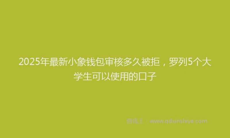 2025年最新小象钱包审核多久被拒，罗列5个大学生可以使用的口子