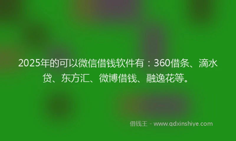 2025年的可以微信借钱软件有：360借条、滴水贷、东方汇、微博借钱、融逸花等。