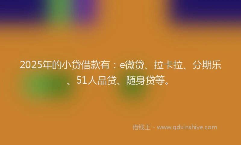 2025年的小贷借款有：e微贷、拉卡拉、分期乐、51人品贷、随身贷等。