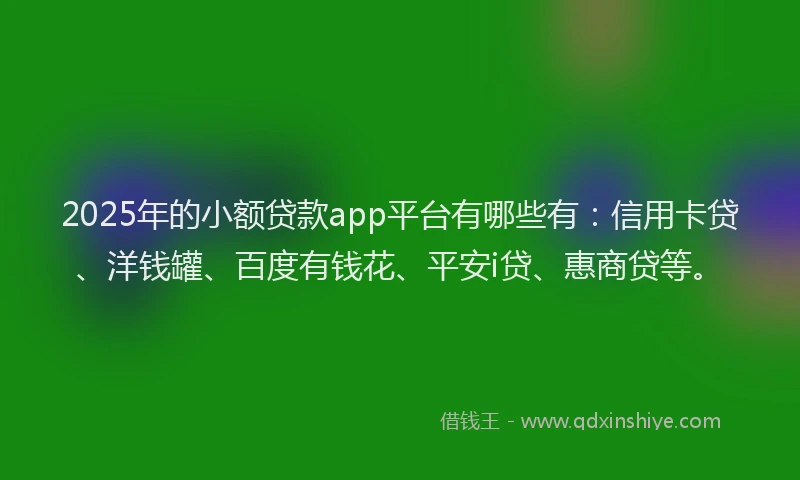 2025年的小额贷款app平台有哪些有：信用卡贷、洋钱罐、百度有钱花、平安i贷、惠商贷等。