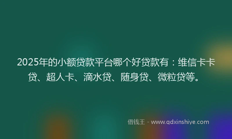 2025年的小额贷款平台哪个好贷款有：维信卡卡贷、超人卡、滴水贷、随身贷、微粒贷等。