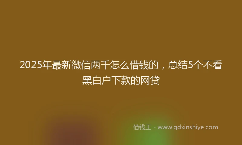 2025年最新微信两千怎么借钱的，总结5个不看黑白户下款的网贷