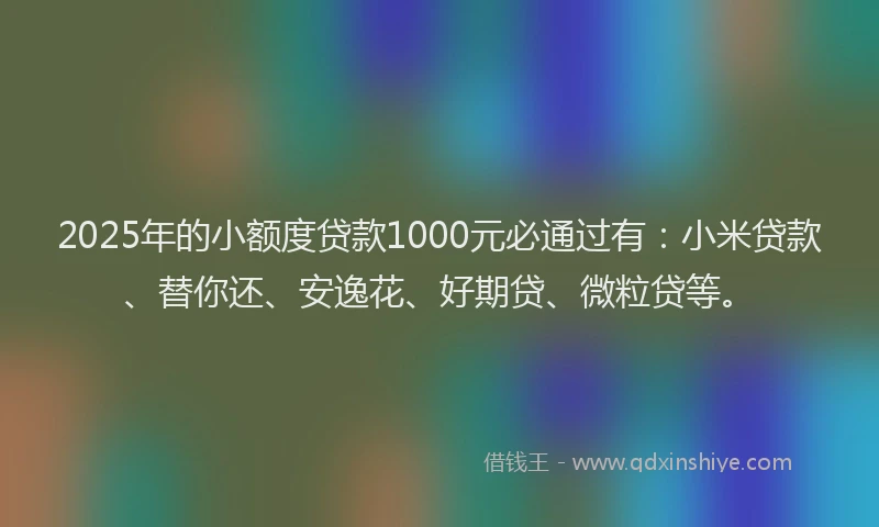2025年的小额度贷款1000元必通过有：小米贷款、替你还、安逸花、好期贷、微粒贷等。