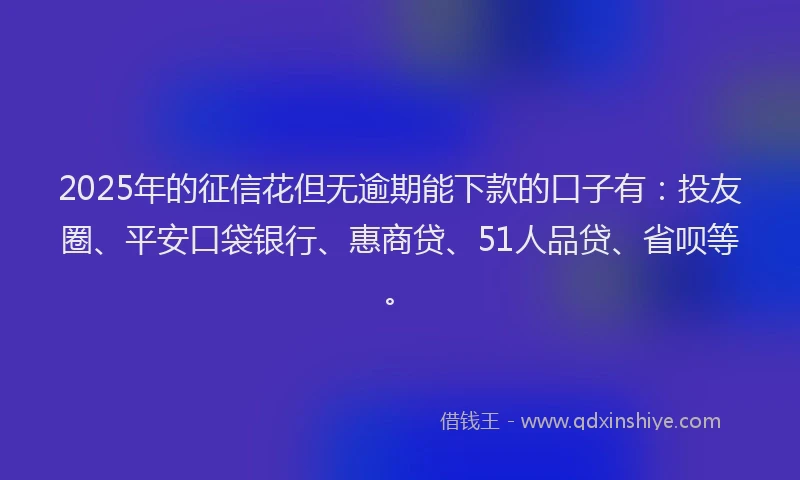 2025年的征信花但无逾期能下款的口子有：投友圈、平安口袋银行、惠商贷、51人品贷、省呗等。