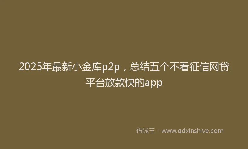 2025年最新小金库p2p，总结五个不看征信网贷平台放款快的app