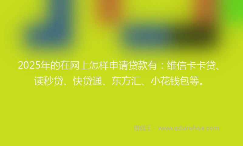 2025年的在网上怎样申请贷款有：维信卡卡贷、读秒贷、快贷通、东方汇、小花钱包等。