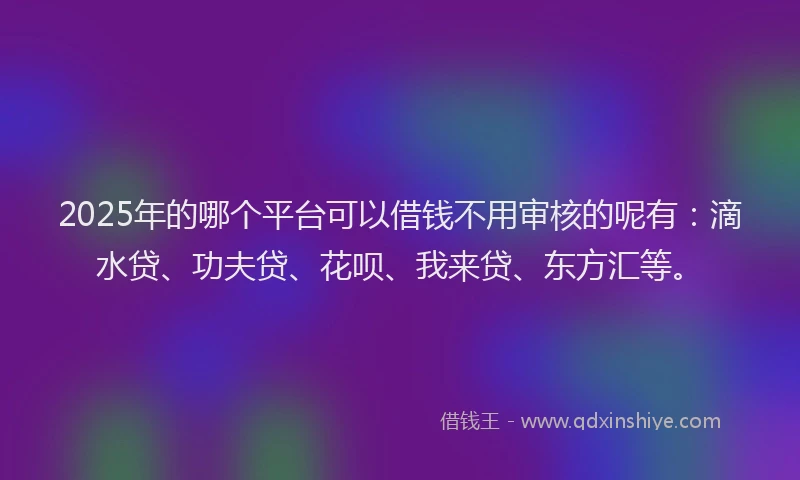 2025年的哪个平台可以借钱不用审核的呢有：滴水贷、功夫贷、花呗、我来贷、东方汇等。