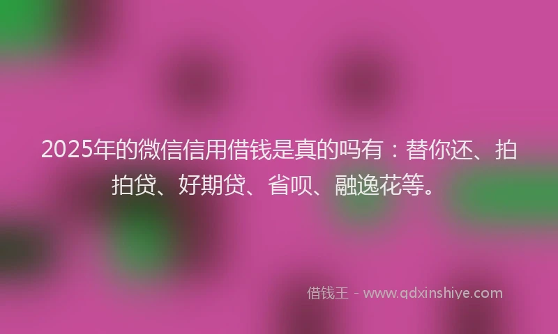 2025年的微信信用借钱是真的吗有：替你还、拍拍贷、好期贷、省呗、融逸花等。