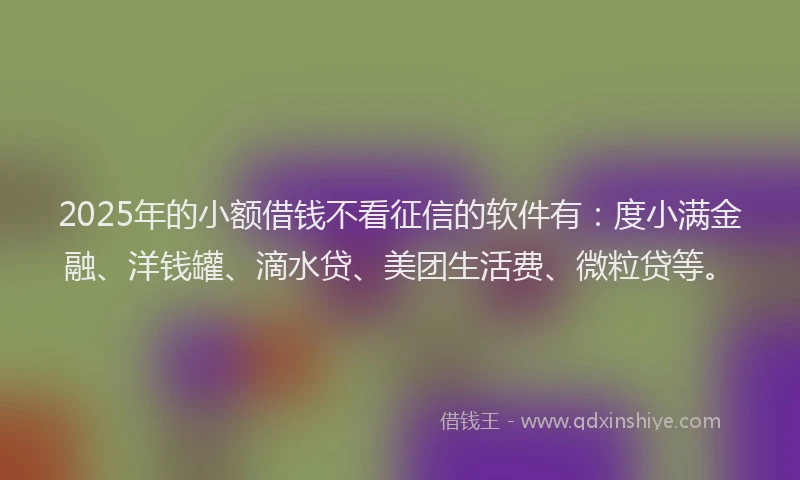 2025年的小额借钱不看征信的软件有：度小满金融、洋钱罐、滴水贷、美团生活费、微粒贷等。