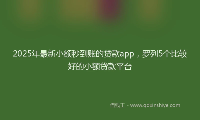 2025年最新小额秒到账的贷款app，罗列5个比较好的小额贷款平台