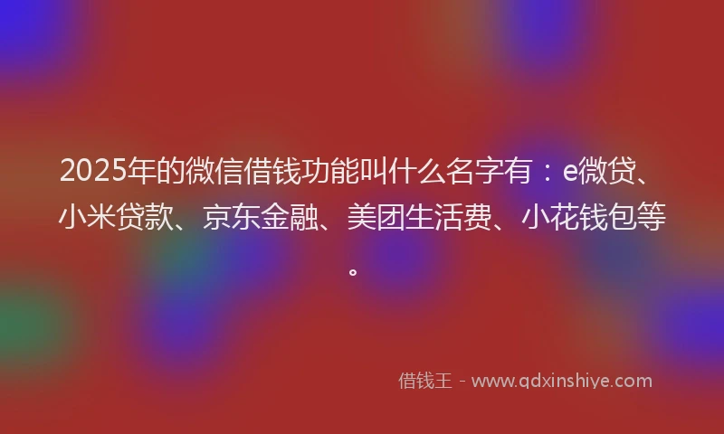 2025年的微信借钱功能叫什么名字有：e微贷、小米贷款、京东金融、美团生活费、小花钱包等。