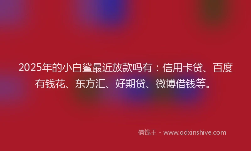 2025年的小白鲨最近放款吗有：信用卡贷、百度有钱花、东方汇、好期贷、微博借钱等。