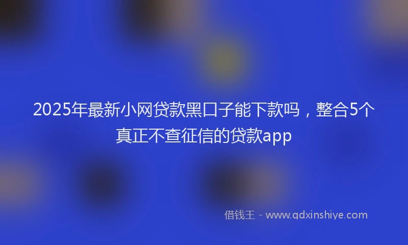 2025年最新小网贷款黑口子能下款吗，整合5个真正不查征信的贷款app