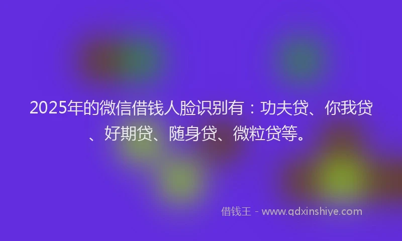 2025年的微信借钱人脸识别有：功夫贷、你我贷、好期贷、随身贷、微粒贷等。