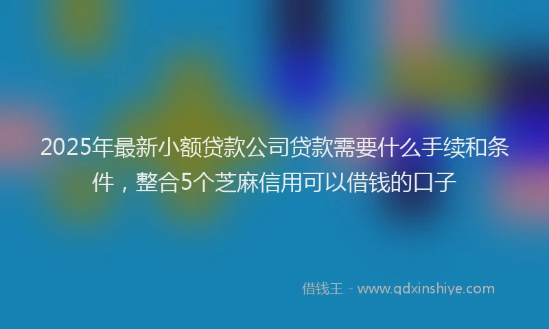 2025年最新小额贷款公司贷款需要什么手续和条件，整合5个芝麻信用可以借钱的口子
