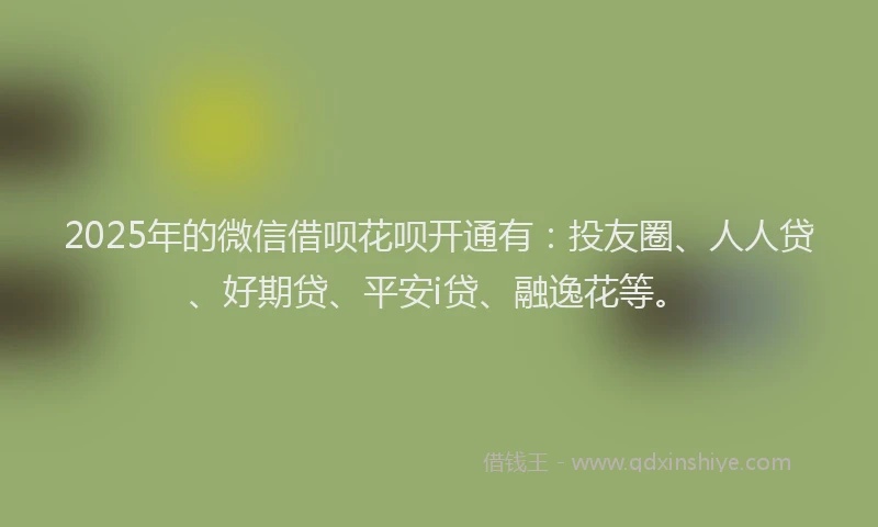 2025年的微信借呗花呗开通有：投友圈、人人贷、好期贷、平安i贷、融逸花等。