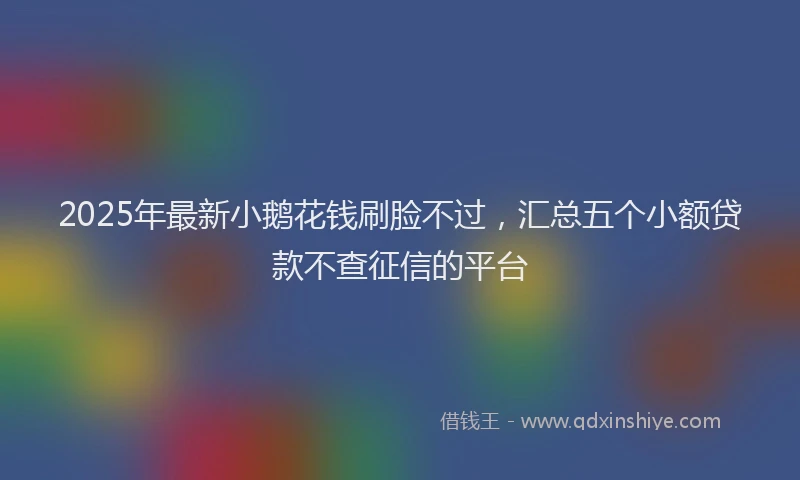 2025年最新小鹅花钱刷脸不过，汇总五个小额贷款不查征信的平台