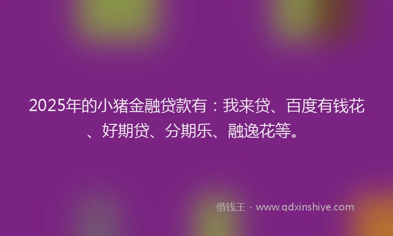 2025年的小猪金融贷款有：我来贷、百度有钱花、好期贷、分期乐、融逸花等。