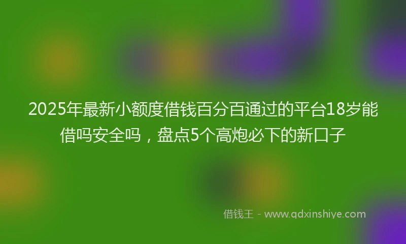2025年最新小额度借钱百分百通过的平台18岁能借吗安全吗，盘点5个高炮必下的新口子