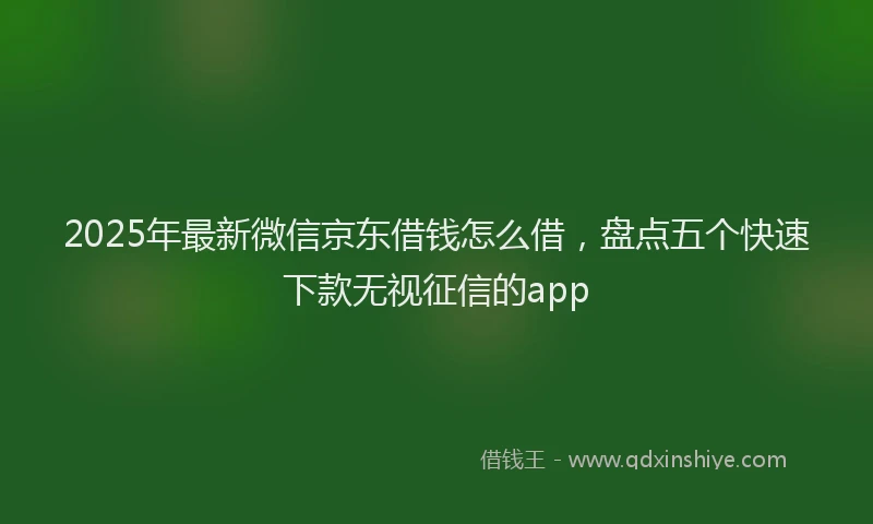 2025年最新微信京东借钱怎么借，盘点五个快速下款无视征信的app