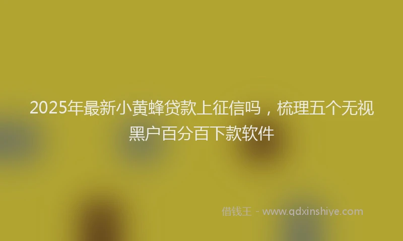 2025年最新小黄蜂贷款上征信吗，梳理五个无视黑户百分百下款软件