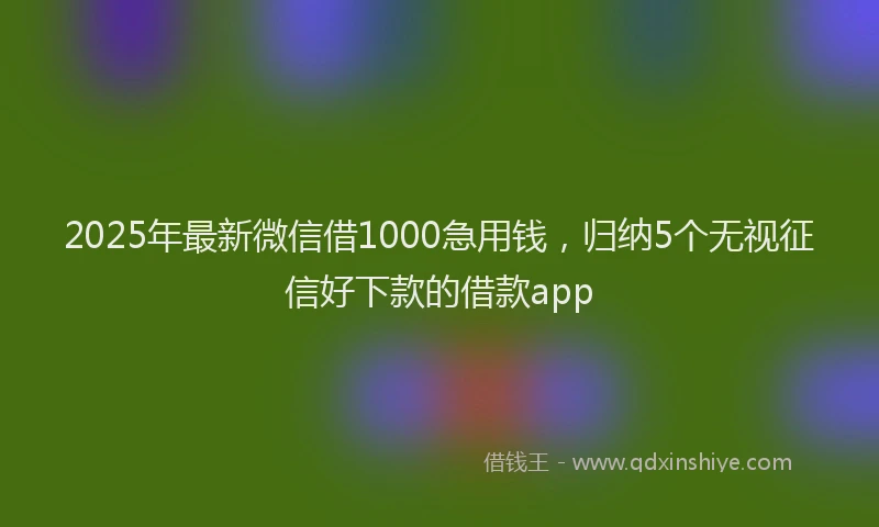 2025年最新微信借1000急用钱，归纳5个无视征信好下款的借款app