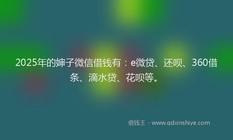 2025年的婶子微信借钱有：e微贷、还呗、360借条、滴水贷、花呗等。