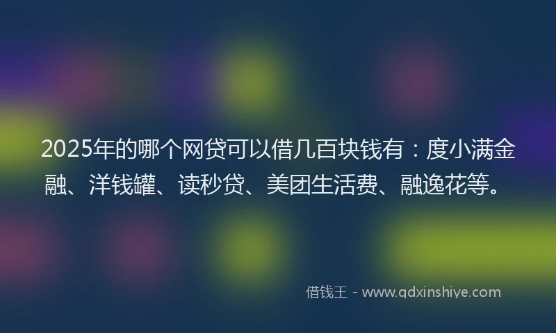2025年的哪个网贷可以借几百块钱有：度小满金融、洋钱罐、读秒贷、美团生活费、融逸花等。